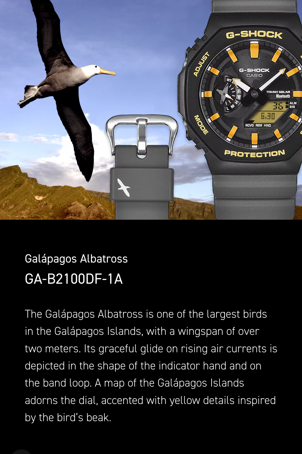 G-Shock watch with Galápagos Albatross design against a scenic background